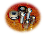 Harley Flip-Flop License Plate Bolts/Screws • (2) Stainless • other Motorcycles