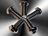 Harley Front Disk Brake Bolt Set • Stainless Steel • & other Motorcycles