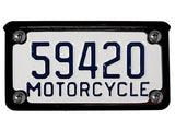 Harley & Other Motorcycles License Bolts • Phillips Truss Head • Stainless Steel