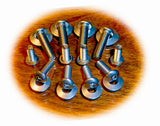 German Luxury Car BMW Mercedes-Benz License Plate Screws Bolts Stainless 02