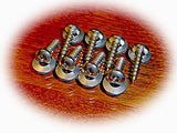Corvette C4 (1984-96) Front Bumper to Body or Engine Bay Screws • Stainless