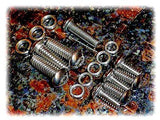 Screws for Stromberg 97 carburetors - Stainless Steel - Hot Rod Flathead Ford