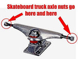 Skateboard Wheel Axle Nuts • Stainless Steel