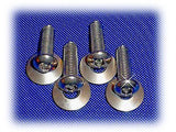 Fiat & Smart Car - Button Head License Stainless Bolts/Screws • (4) M6 x 20mm