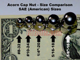 Acorn Cap Nuts size 1/4-20 Stainless Steel, UNC Thread for Safety Show Car Boat RV Truck Motorcycle Bike Playground - Dome Hex 05a