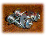 American Car License Plate Screws Phillips Head Stainless 05